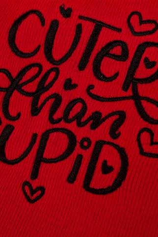 Lolidogs Cuter Than Cupid Nakışlı Kaşkorse Köpek Sweatshirtü