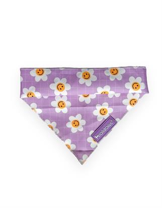 Lolidogs Daisy Köpek Bandanası Lila