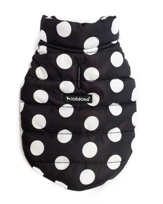 Lolidogs Dots Şişme Köpek Montu