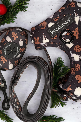 Lolidogs Gingerman Harness Set