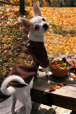 Lolidogs Human Therapist Nakışlı Köpek Sweatshirtü