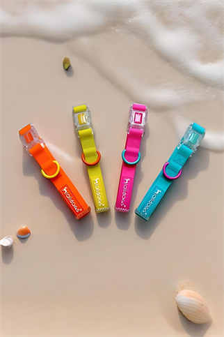 Lolidogs Jelly Collection Köpek Boyun Tasması Mango