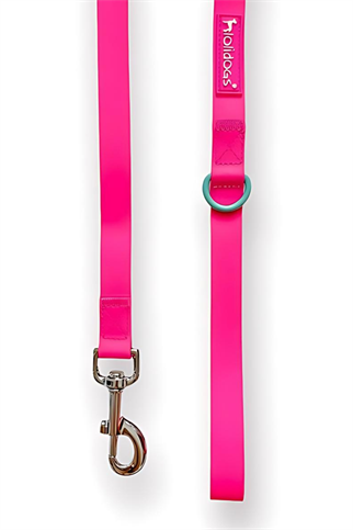 Lolidogs Jelly Collection Köpek Gezdirme Tasması Candy