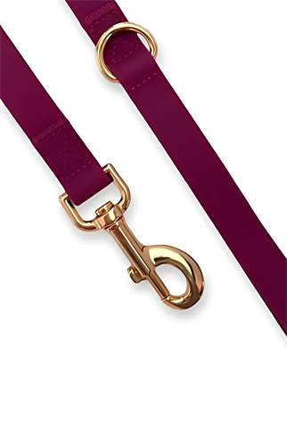 Lolidogs Jelly Collection Köpek Gezdirme Tasması Ruby Bordo