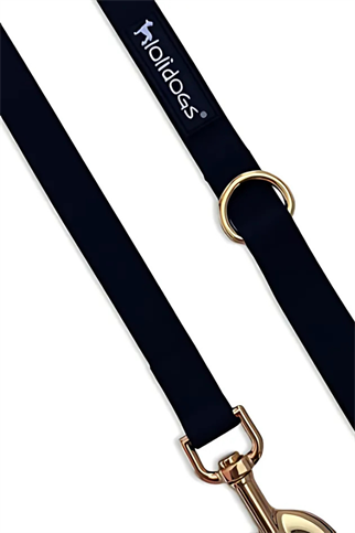 Lolidogs Jelly Collection Köpek Gezdirme Tasması Black Pearl Siyah