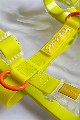 Lolidogs Jelly Collection Köpek Göğüs Tasması Sunkiss