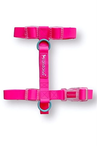 Lolidogs Jelly Collection Köpek Göğüs Tasması Candy