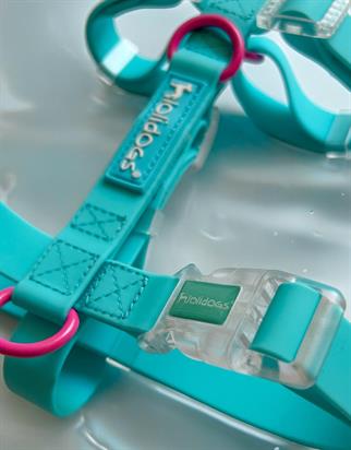 Lolidogs Jelly Collection Dog Harness Berry