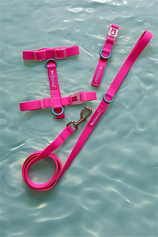 Lolidogs Jelly Collection Köpek Göğüs Tasması Candy