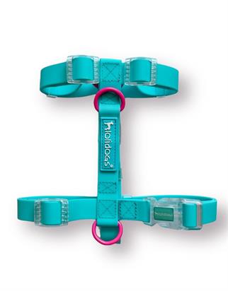 Lolidogs Jelly Collection Dog Harness Berry