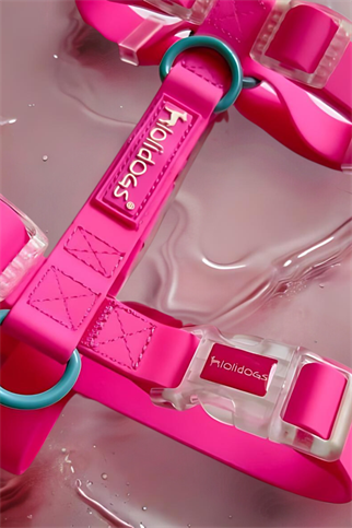 Lolidogs Jelly Collection Köpek Göğüs Tasması Candy