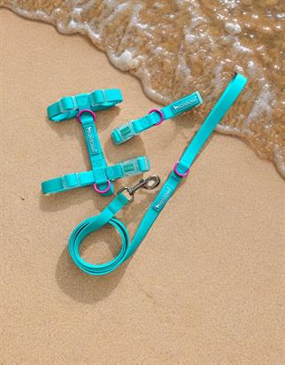 Lolidogs Jelly Collection Dog Harness Berry