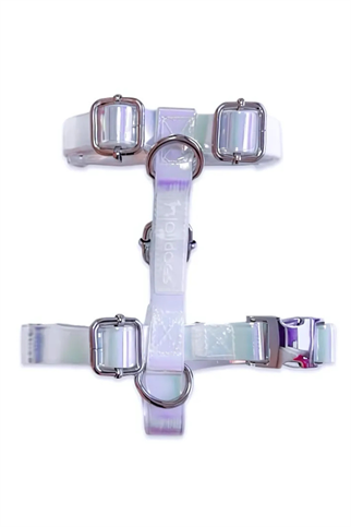 Lolidogs Jelly Lux Collection Köpek Göğüs Tasması Pearl Hologram