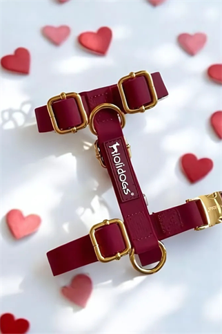 Lolidogs Jelly Lux Collection Köpek Göğüs Tasması Ruby Bordo