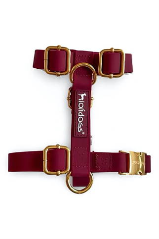 Lolidogs Jelly Lux Collection Köpek Göğüs Tasması Ruby Bordo