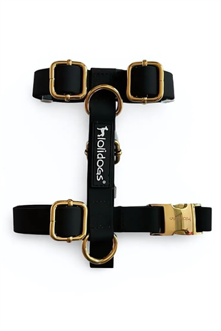 Lolidogs Jelly Lux Collection Köpek Göğüs Tasması Black Pearl Siyah