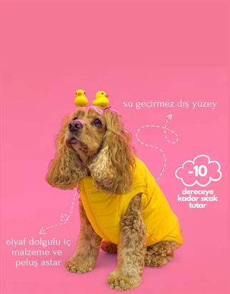 Lolidogs Lemon Şişme Köpek Montu