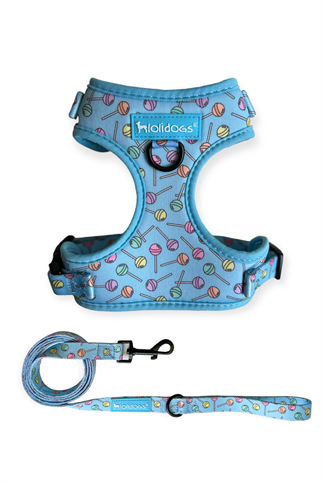 Lolidogs Loli Harness Set
