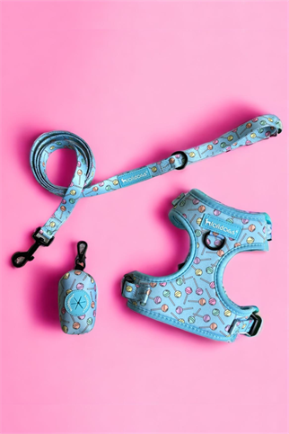 Lolidogs Loli Harness Set
