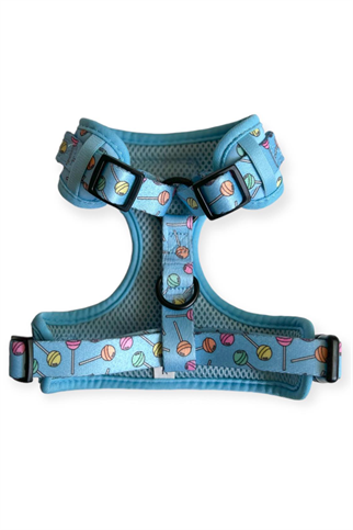 Lolidogs Loli Harness Set
