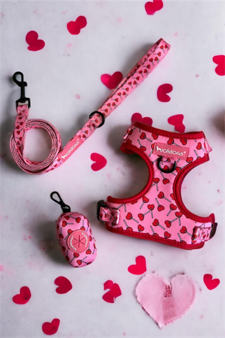 Lolidogs Lover Harness Set