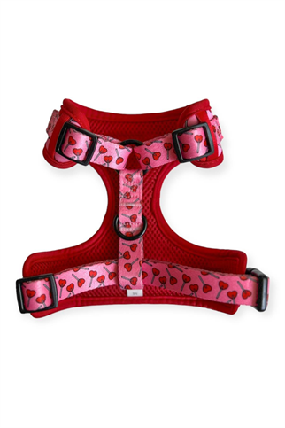Lolidogs Lover Harness Set