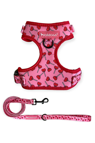 Lolidogs Lover Harness Set