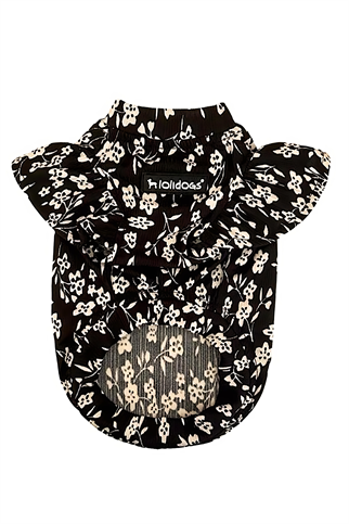 Lolidogs Mia Köpek Tshirtü Siyah