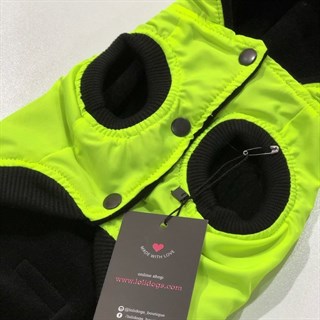 Lolidogs Neon Köpek Montu Lime