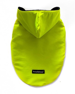 Lolidogs Neon Köpek Montu Lime