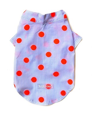 Lollidogs Point Striped Dog Shirt