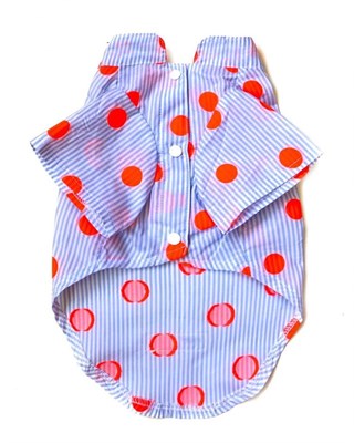 Lollidogs Point Striped Dog Shirt