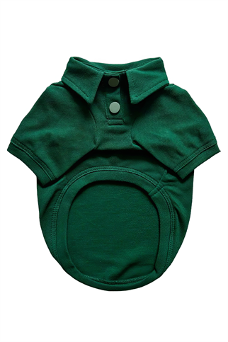 Lolidogs Polo Yaka Köpek Tshirtü Yeşil