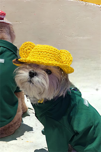 Lolidogs Polo Yaka Köpek Tshirtü Yeşil