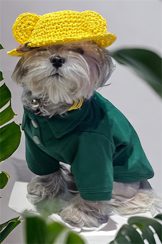 Lolidogs Polo Yaka Köpek Tshirtü Yeşil