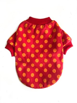 Lollidogs Pop Dog Sweatshirt