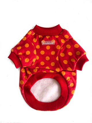 Lollidogs Pop Dog Sweatshirt