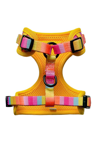 Lolidogs Rainbow Harness Set