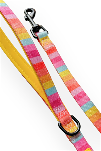 Lolidogs Rainbow Harness Set