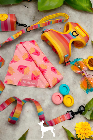 Lolidogs Rainbow Harness Set