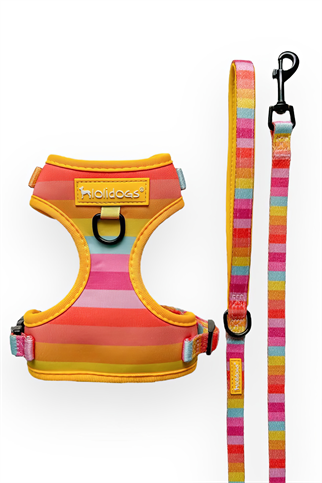 Lolidogs Rainbow Harness Set