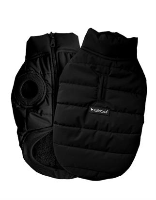 Lolidogs Rock Şişme Köpek Montu