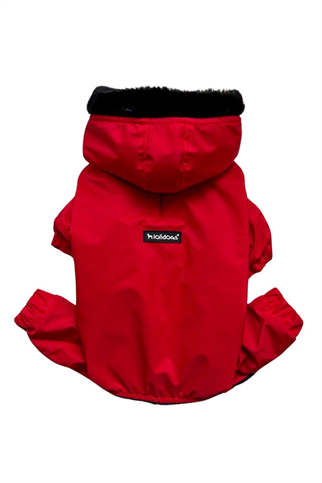 Lolidogs Rouge Köpek Tulum Montu