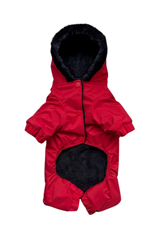 Lolidogs Rouge Köpek Tulum Montu