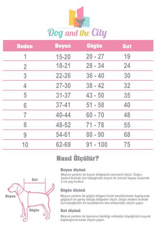 Lolidogs Sausage Dog Köpek Sweatshirtü Ekru