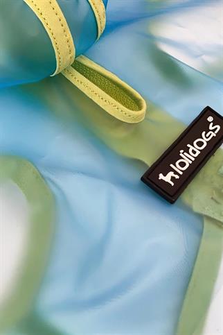 Lolidogs Şeffaf Köpek Yağmurluğu Mavi-Yeşil