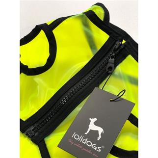 Lolidogs Şeffaf Köpek Yağmurluğu Neon Yeşil