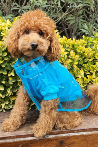 Lolidogs Simli Şeffaf Köpek Yağmurluğu Mavi