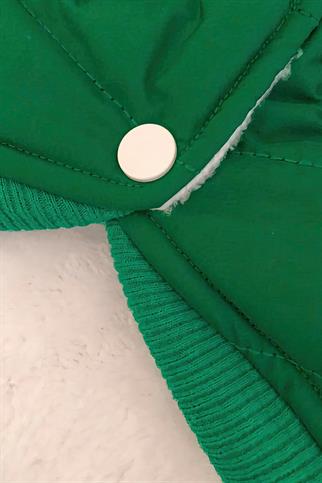 Lolidogs Şişme Köpek Montu Yeşil