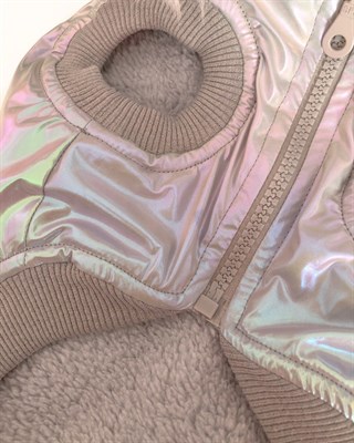 Lolidogs Smoke Köpek Montu